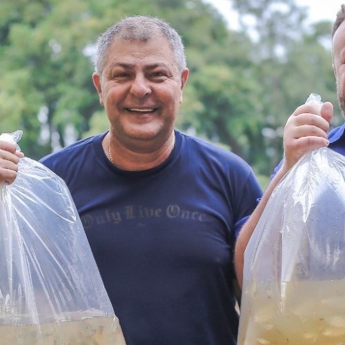 Prefeitura de Volta Redonda e CSN realizam soltura de peixes no Rio Paraíba do Sul